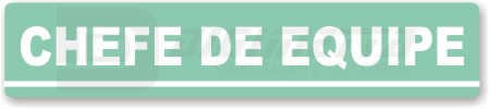 Placa: Chefe de Equipe